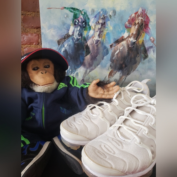 Nike Vapor Max Plus - Picture 6 of 11